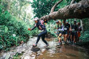 BIB: 
                            <button type="button" onclick="openModal(25371460)" class="btn btn-primary btn-sm float-right btn-popup" data-toggle="modal" data-target=".modal-high-quality">
                        <i class="fas fa-shopping-cart"></i> Add to Cart
                    </button>
                                            <button type="button" onclick="isThisMe(25371460, true)" class="btn btn-success btn-sm float-right btn-popup btn-isme hidden" data-toggle="tooltip" data-placement="bottom" title="นี่คือรูปของคุณใช่ไหม คลิกที่นี่เพื่อเอาเข้าอัลบั้ม">
                        <i class="fas fa-plus"></i> Add to album
                    </button>
                    <button type="button" onclick="isThisMe(25371460, false)" class="btn btn-warning btn-sm float-right btn-popup btn-isnotme hidden">
                        <i class="fas fa-ban"></i> Remove from album
                    </button>